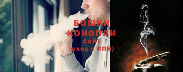 молекула духа Зеленодольск