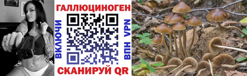 OMG   Калачинск  Галлюциногенные грибы GOLDEN TEACHER 